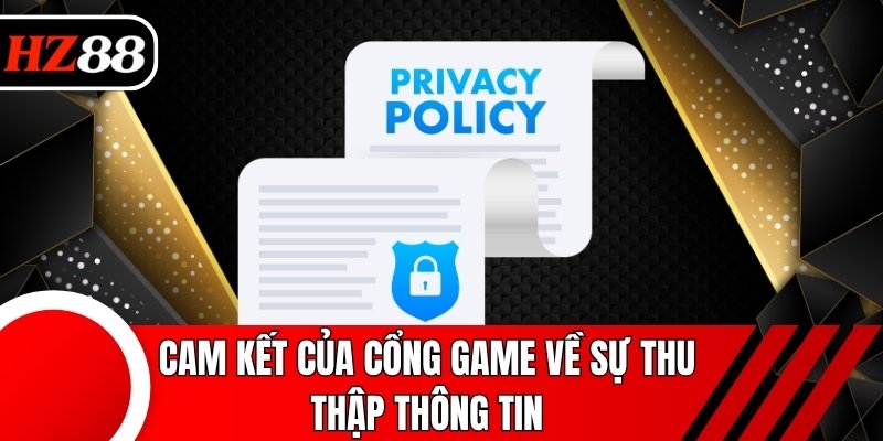 Cam kết của cổng game về sự thu thập thông tin